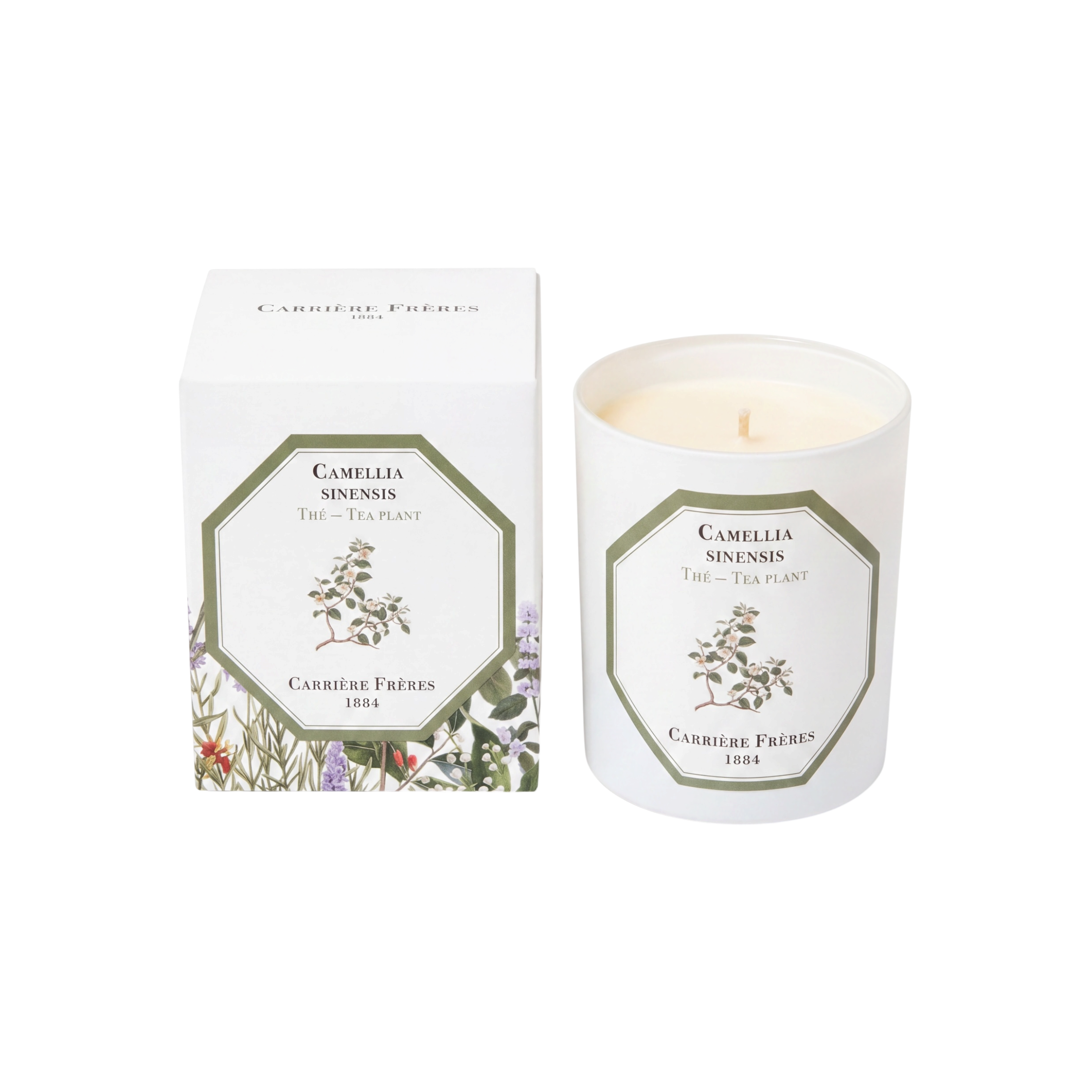 Carriere Freres Tea Plant Candle 185 g-Carriere Freres-Oak Manor Fragrances