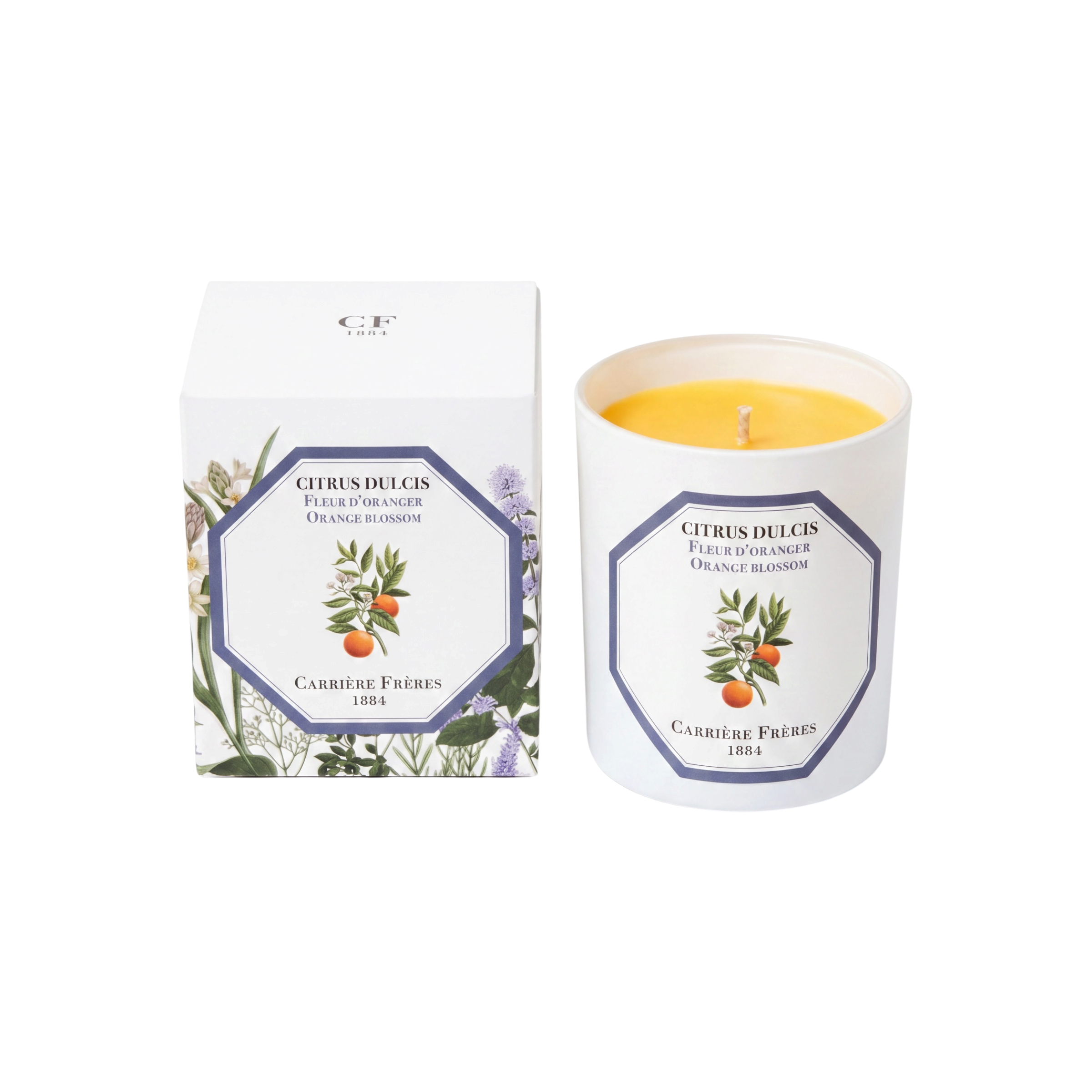 Carriere Freres Orange Blossom Candle 185 g-Carriere Freres-Oak Manor Fragrances