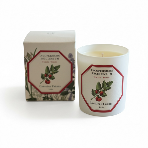 Carriere Freres Tomato Candle 185 g-Carriere Freres-Oak Manor Fragrances