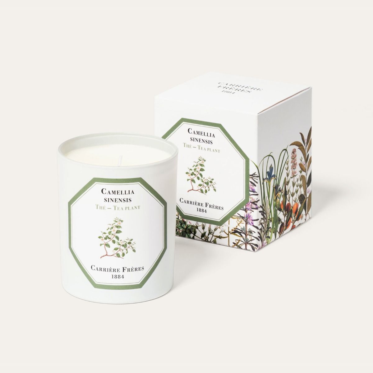Carriere Freres Tea Plant Candle 185 g-Carriere Freres-Oak Manor Fragrances
