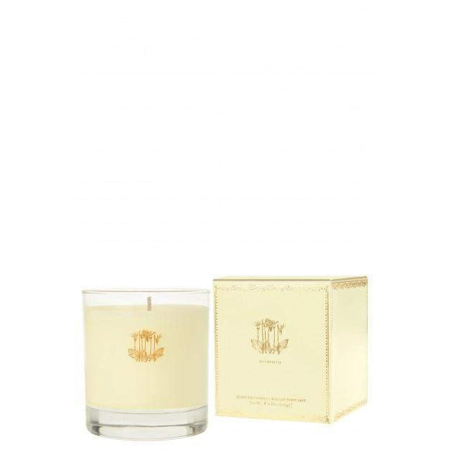 Calypso St. Barth Mimosa Candle-Calypso St Barth-Oak Manor Fragrances